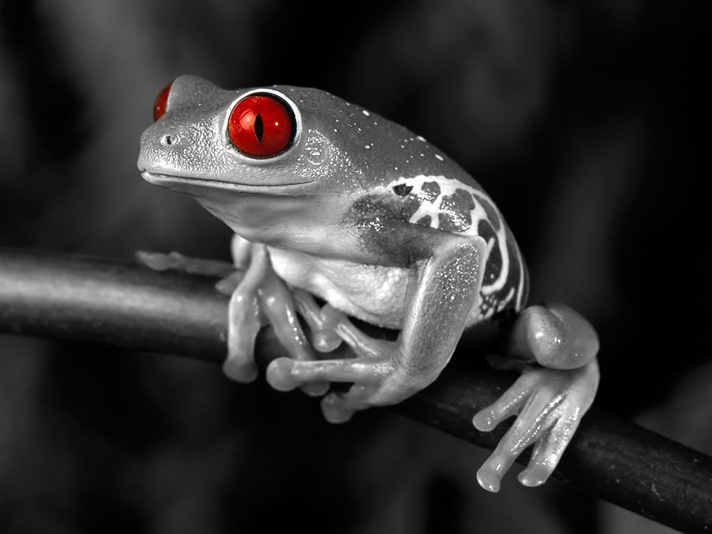 red_point_in_a_grey_life_05.jpg