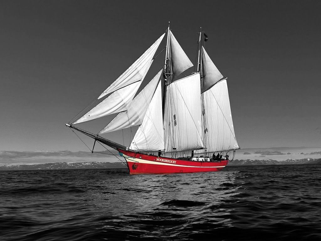 red_point_in_a_grey_life_14.jpg