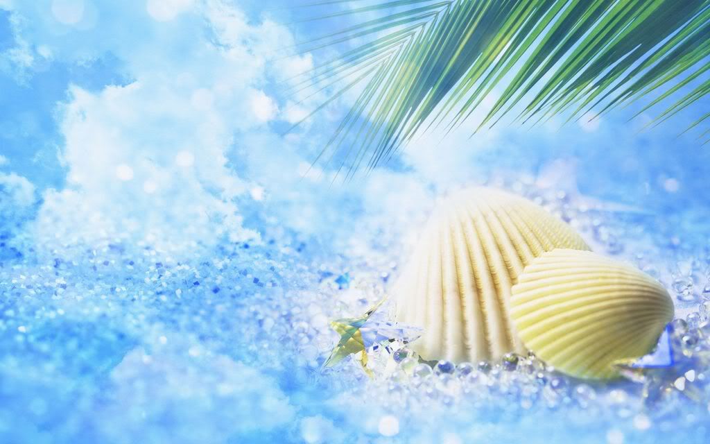 shining_of_summer_18.jpg