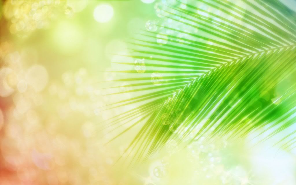 shining_of_summer_23.jpg