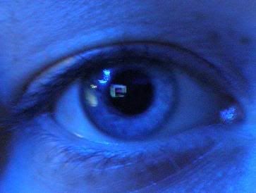 Bleu_on_Blue_.jpg