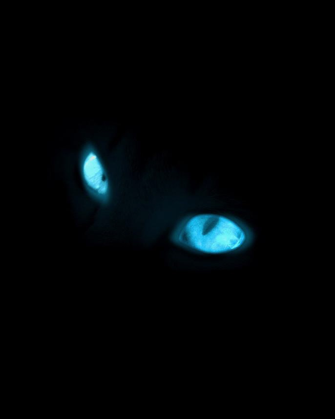 Blue_Glow_.png