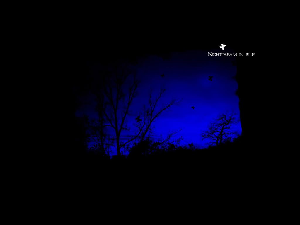 Nightdream_in_blue_.jpg