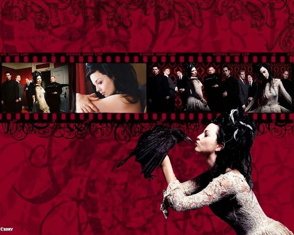 Evanescence_036.jpg