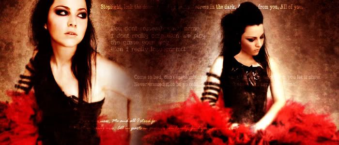Evanescence_Banner_.jpg