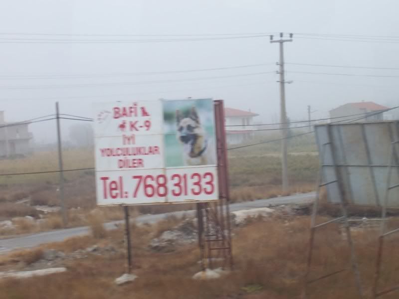 Bafi_K9.jpg