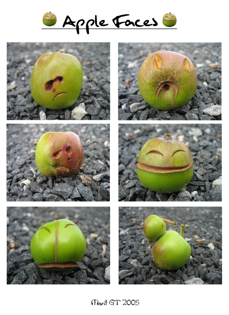 Funny_Apples.png