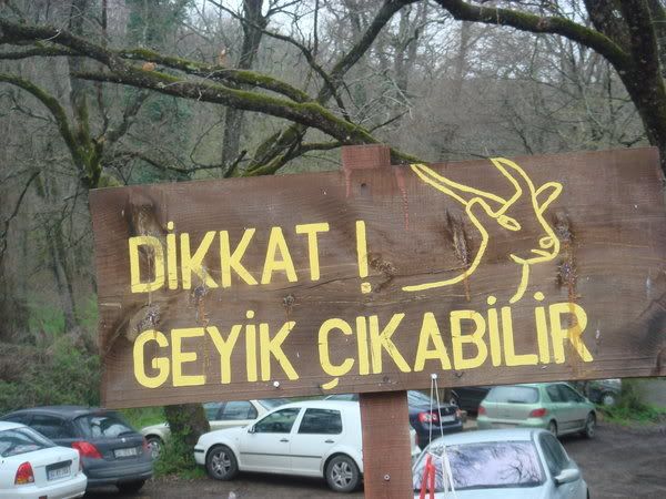 dikkat.jpg
