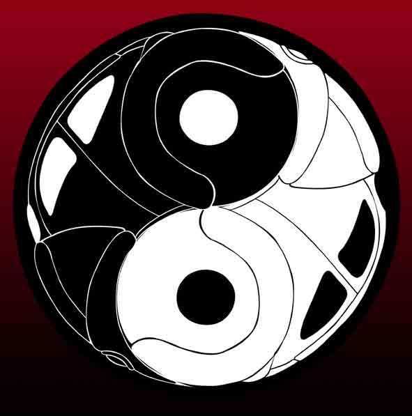 Ying_Yang_wewew.jpg