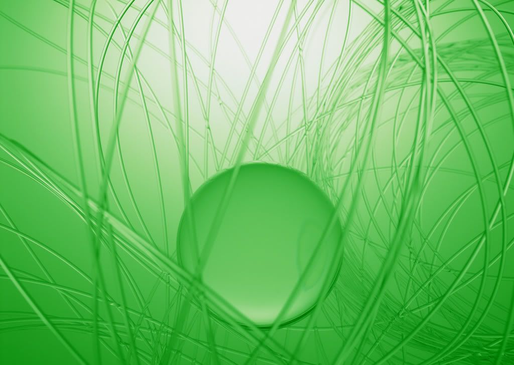 DP019.jpg