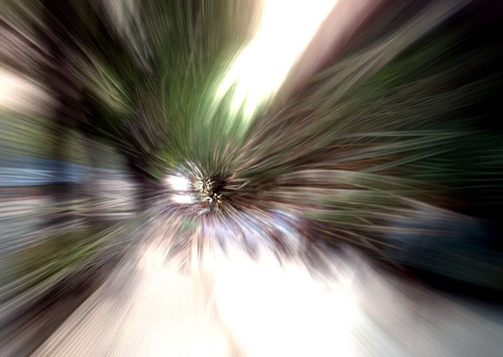 FS014.jpg