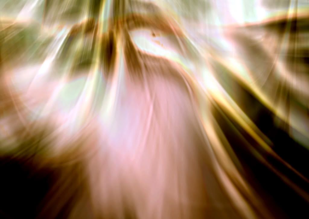 FS023.jpg