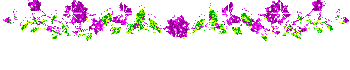 49c675ae27a1.gif