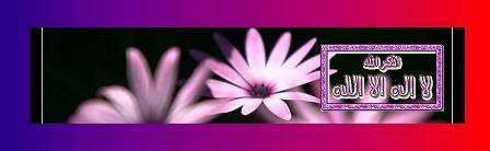 4c9759284c8e.jpg