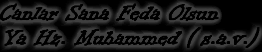 4ef210b64df7.gif