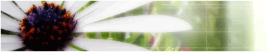 74d14357e511.gif