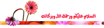 81dc8200a563.gif