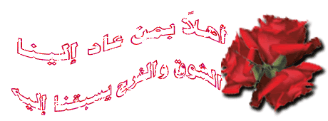8d9a21630d13.gif
