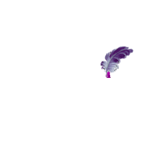 94b9b75a2f2b.gif