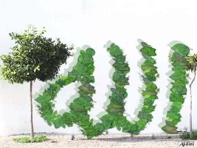 Akilini2.jpg