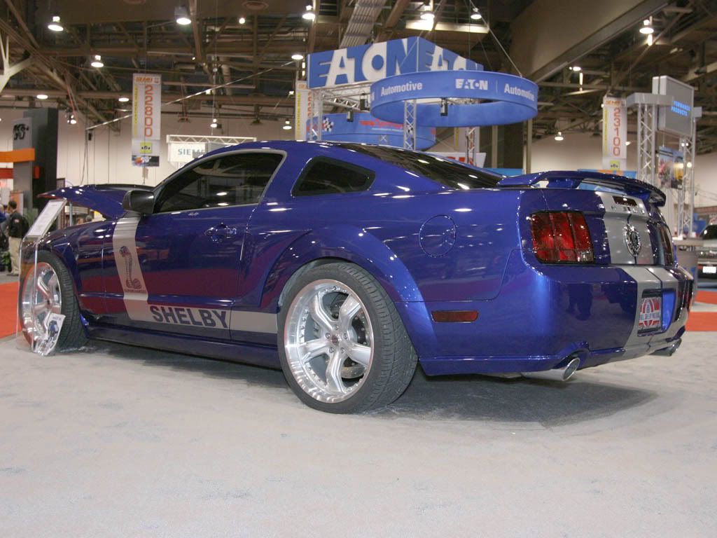 2005_Shelby_MustangCS63.jpg