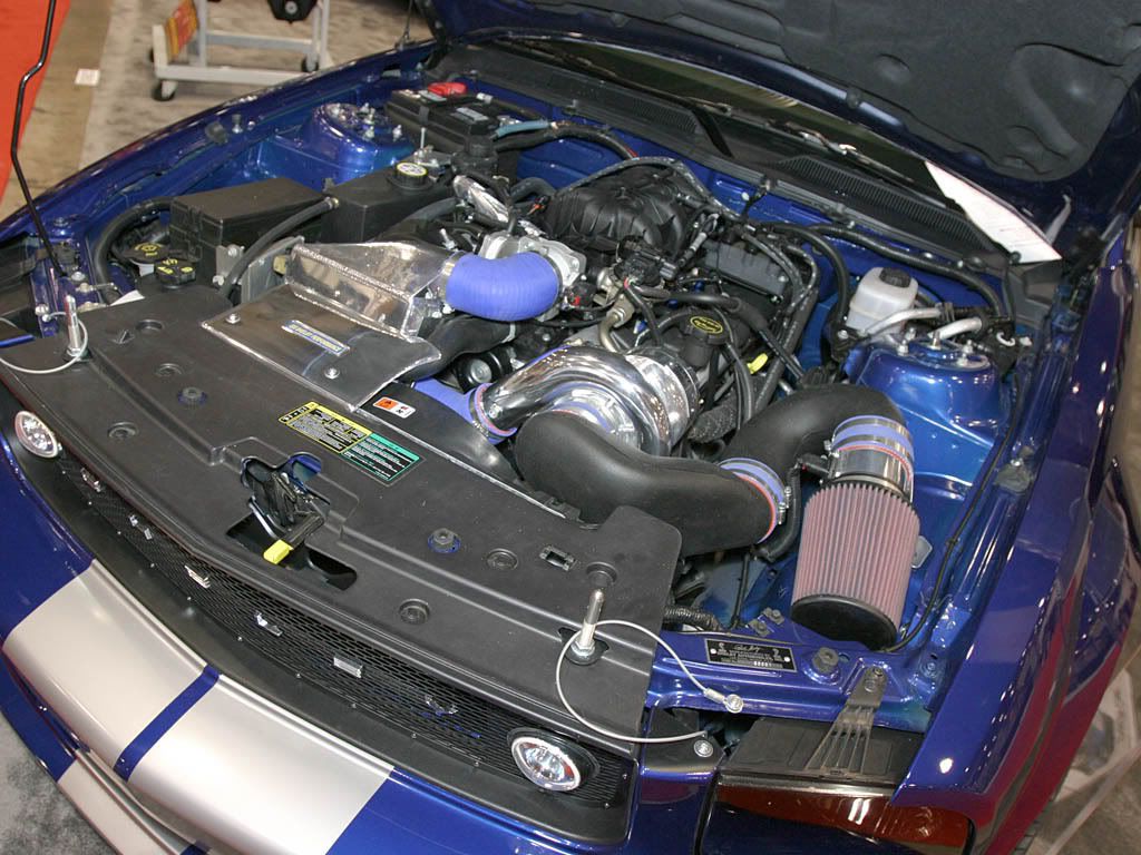 2005_Shelby_MustangCS64.jpg