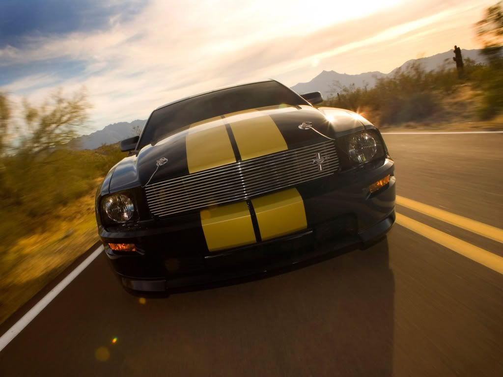 2006_Shelby_MustangGTH4.jpg