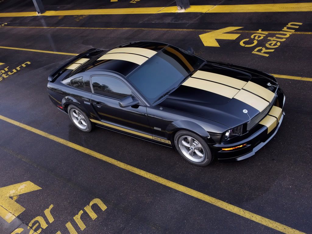 2006_Shelby_MustangGTH7.jpg