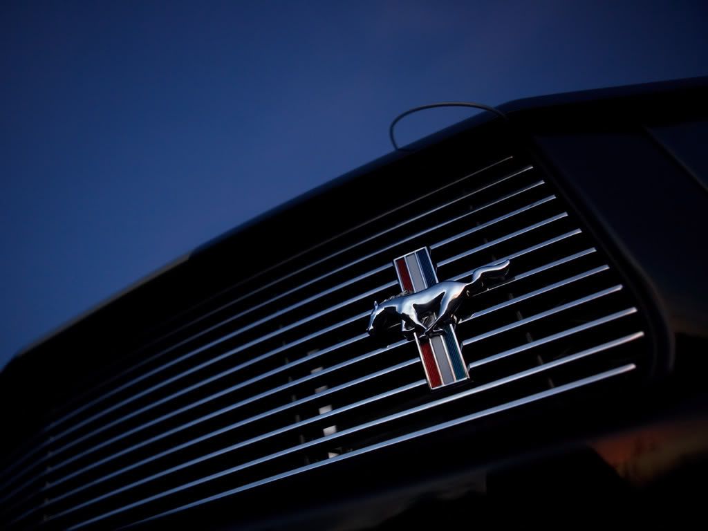2006_Shelby_MustangGTH9.jpg