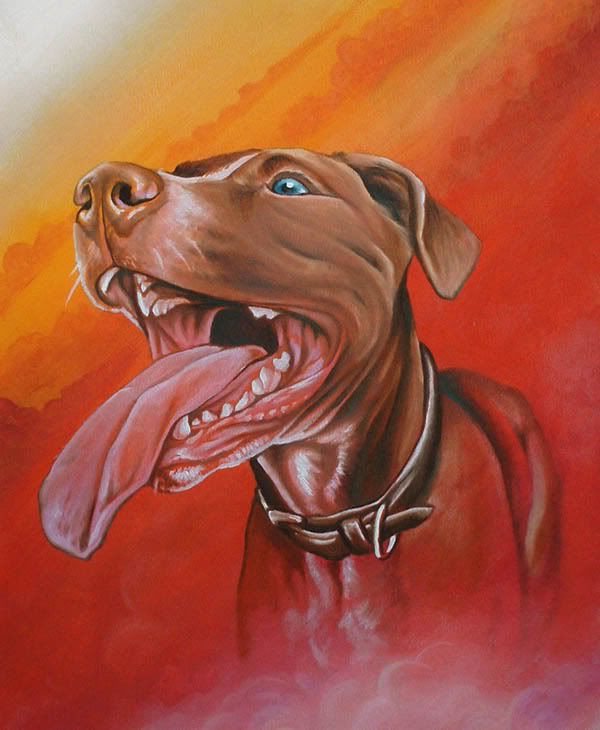 Banned_Pit_Bull_.jpg
