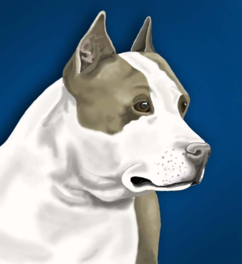 Pit_Bull_.jpg
