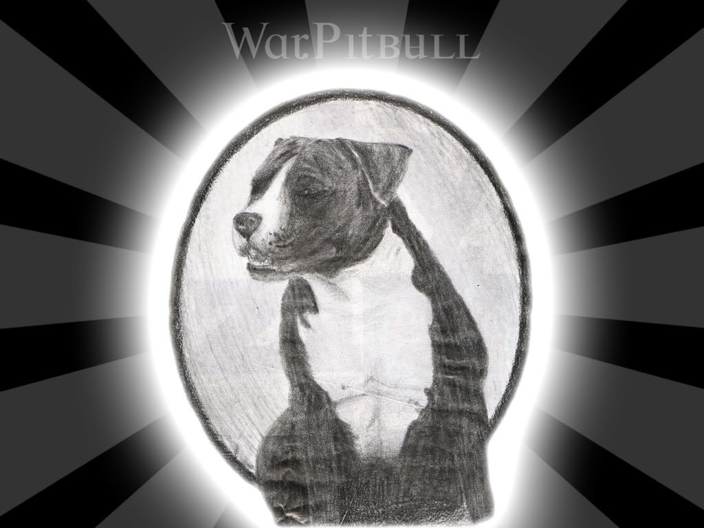 Pitbull_b.jpg