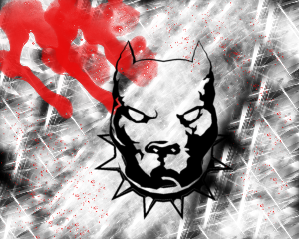 pitbull.png