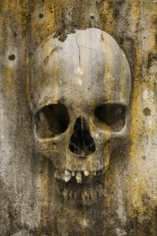 Skull_.jpg