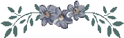 flower11.gif