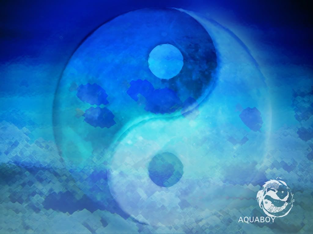 ying_yang_7687.jpg