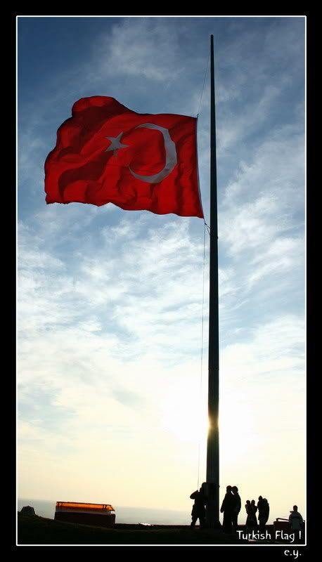 Turkis_Flag_II_.jpg
