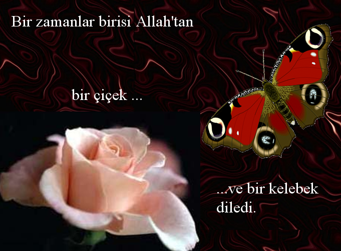 90818993yg1.png