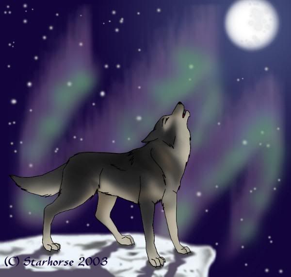  - A_wolf__