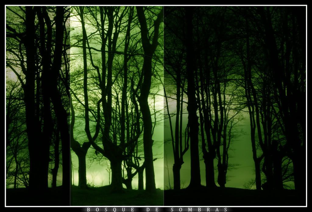 Dark_Forest.jpg