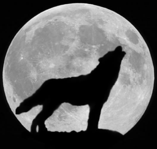 Howling_Wolf_-2.jpg