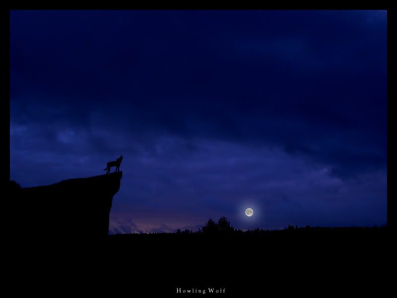 Howling_Wolfkk.jpg