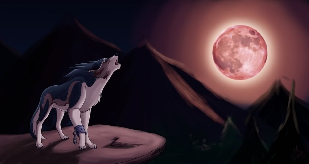 Red_Moon_Calling___Wolf_Link_.jpg