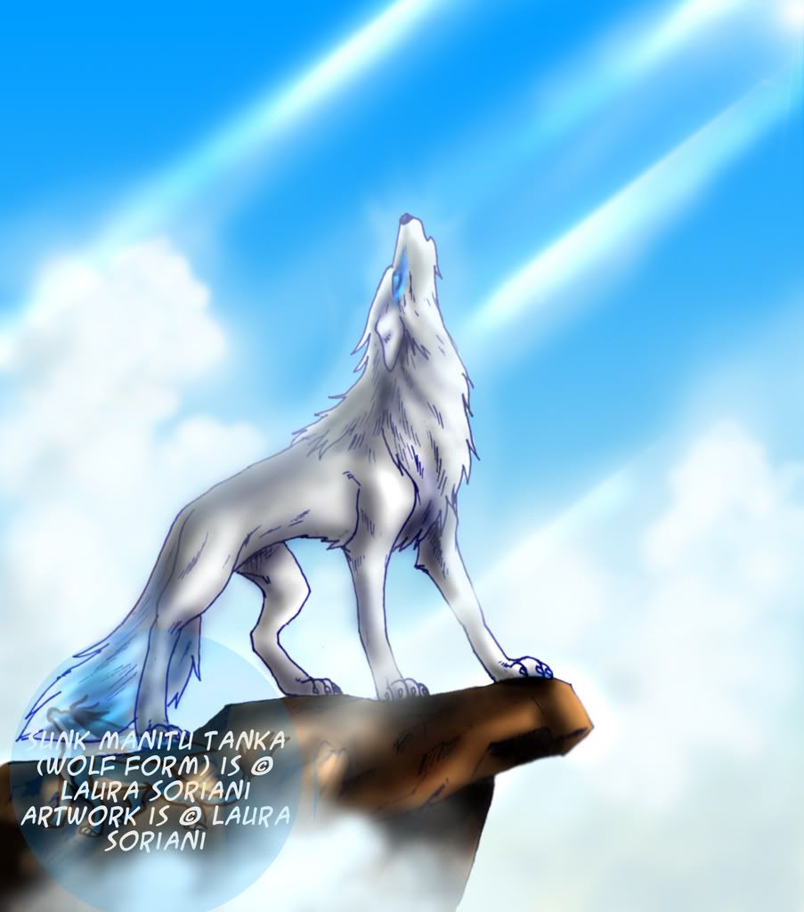 Sunk_Manitu_Tanka___the_wolf_.jpg