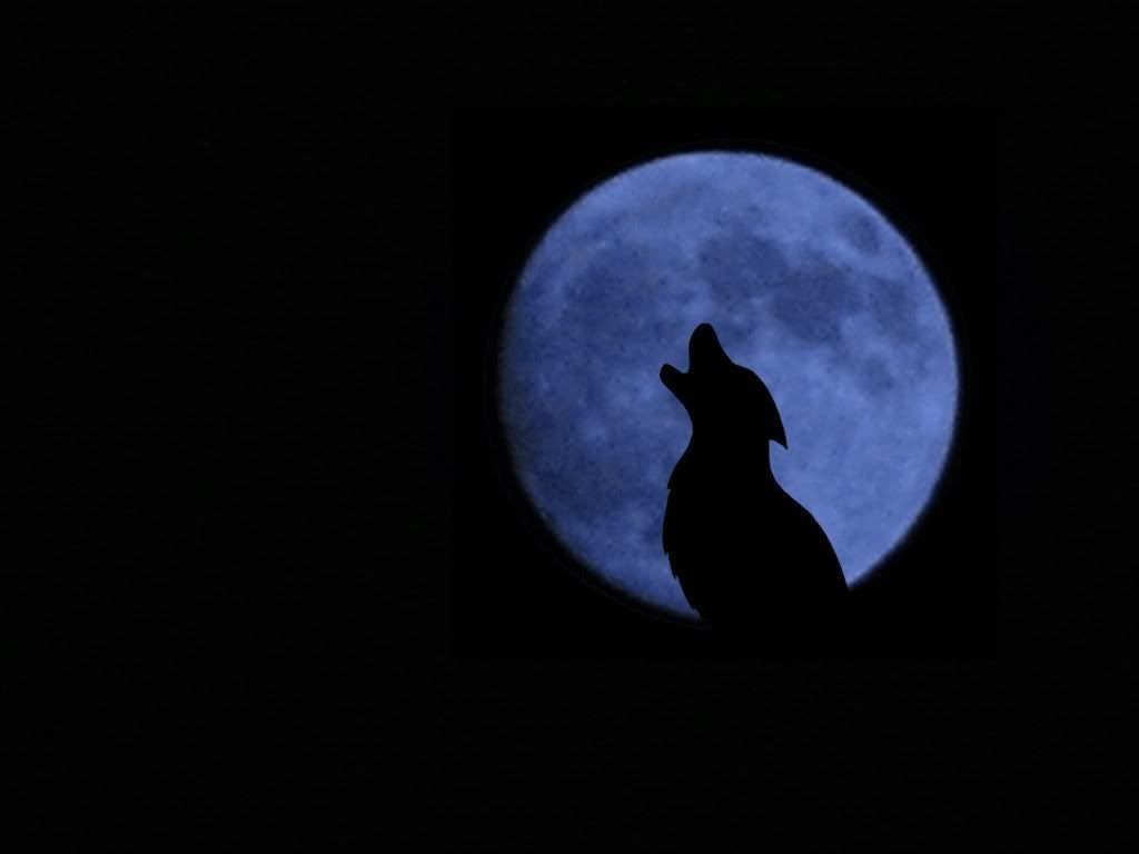 Wolf_Howling_Moon.jpg