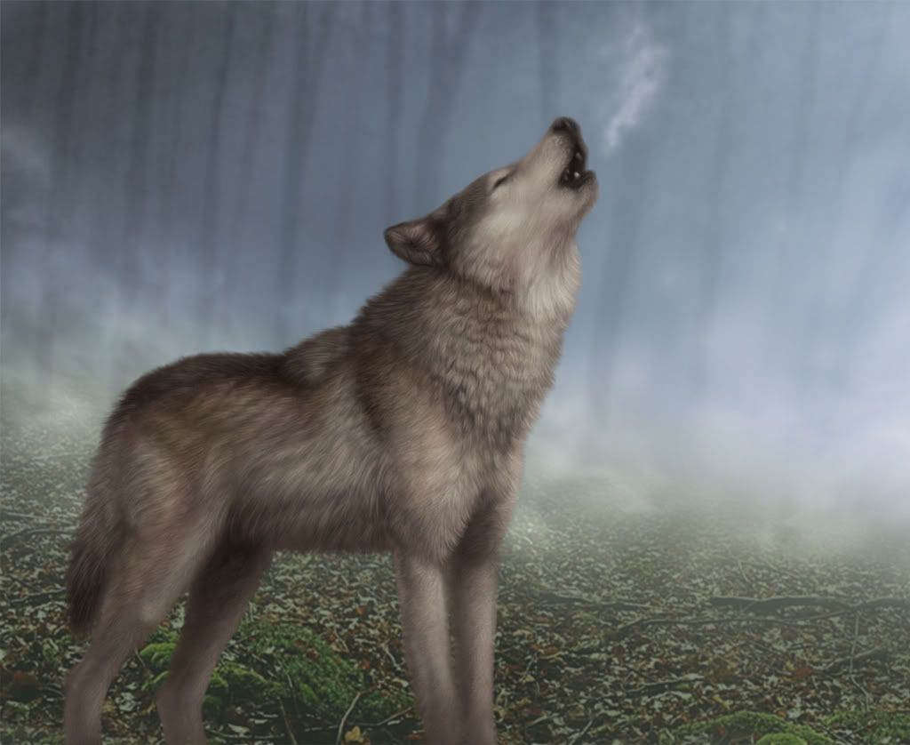 Wolfsong_.jpg