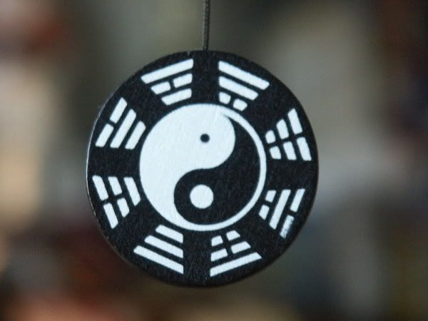 Ying_Yang_567.jpg
