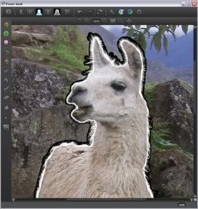 powermask_uiw.jpg