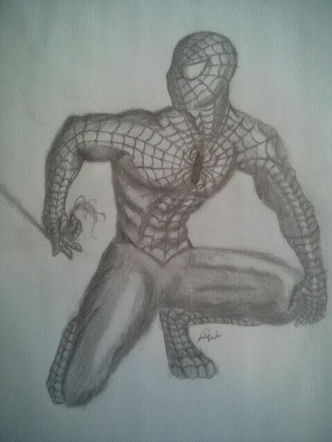 spiderma45.jpg