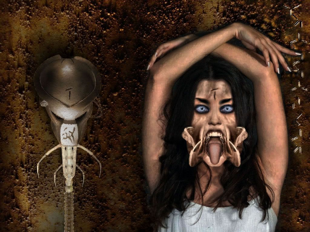 Princess_Predator_.jpg